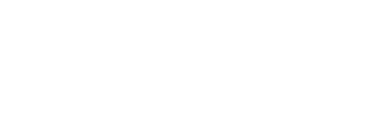 kurybees